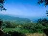 [thumbnail of Picture 17]