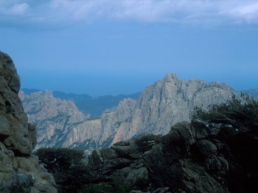 Image2845.web.jpg