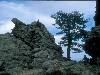 [thumbnail of Picture 25]