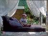 [thumbnail of Picture 34]