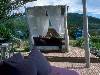 [thumbnail of Picture 1]