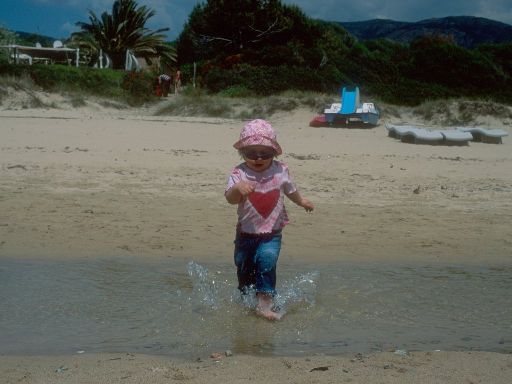 Image2861.web.jpg