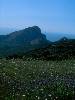 [thumbnail of Picture 5]
