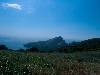 [thumbnail of Picture 6]