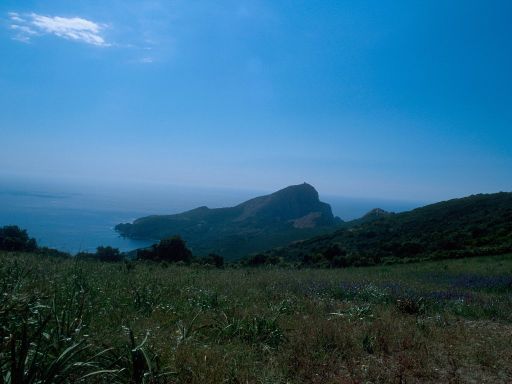 Image2863.web.jpg