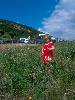 [thumbnail of Picture 7]