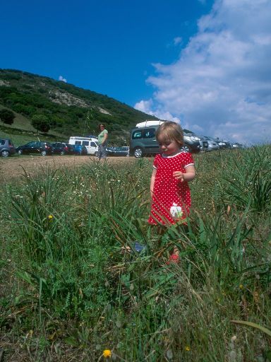Image2864.web.jpg