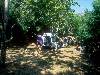 [thumbnail of Picture 24]