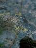[thumbnail of Picture 28]