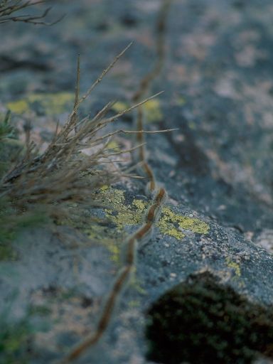 Image2885.web.jpg