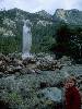 [thumbnail of Picture 31]