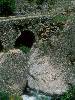 [thumbnail of Picture 32]