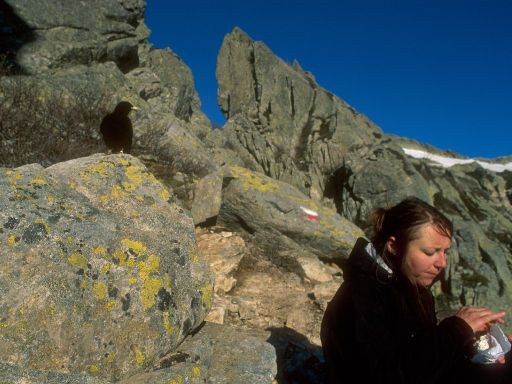 Image2792.web.jpg