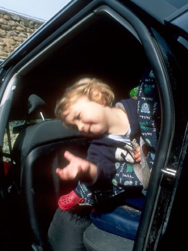 Image2804.web.jpg