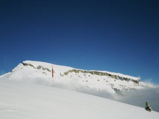 Image0003.web.jpg