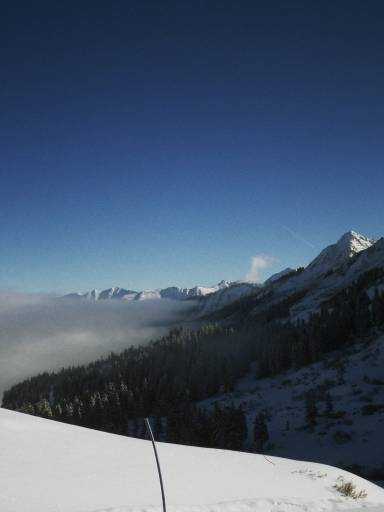 Image0004.web.jpg