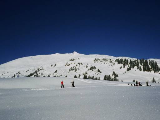 Image0005.web.jpg