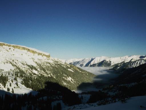 Image0008.web.jpg