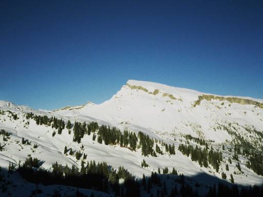Image0009.web.jpg