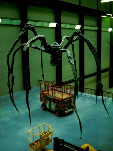 Image19.web.jpg