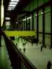 [thumbnail of Picture 11]