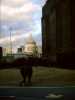 [thumbnail of Picture 13]