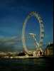 [thumbnail of Picture 25]