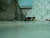 [thumbnail of Picture 2]