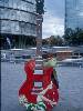 [thumbnail of Picture 21]