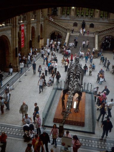 Image452.web.jpg