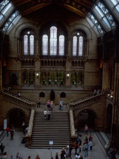 Image453.web.jpg