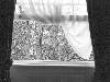[thumbnail of Picture 1]
