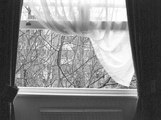 Image2946.web.jpg