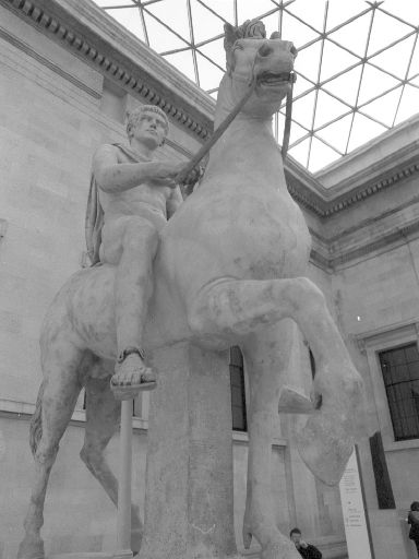 Image2951.web.jpg