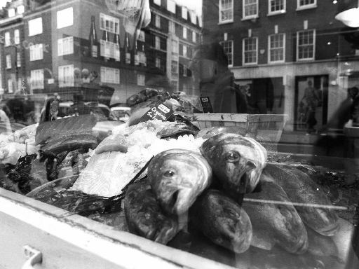 Image2955.web.jpg