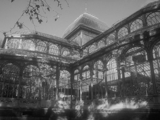 ImageImage0721.web.jpg