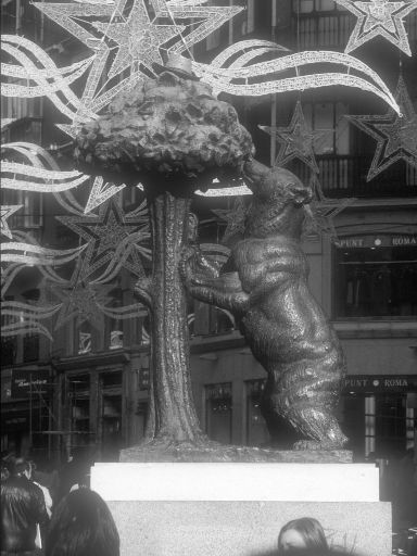 ImageImage0731.web.jpg