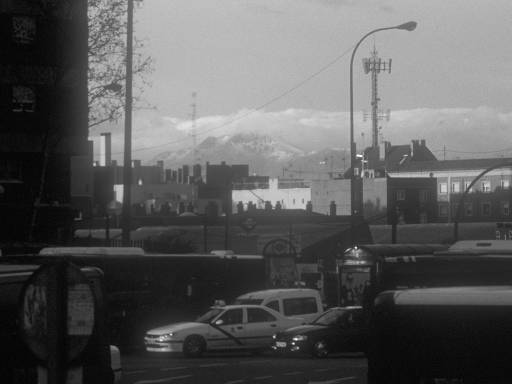 [thumbnail of Picture 16]