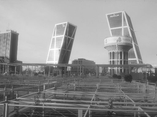 ImageImage0755.web.jpg