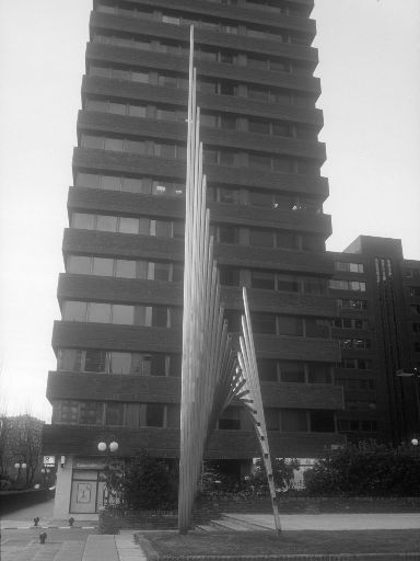 ImageImage0764.web.jpg