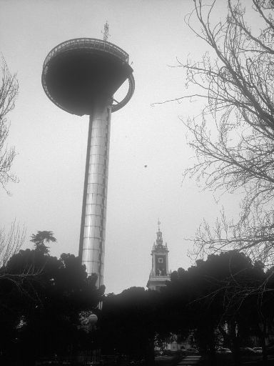ImageImage0770.web.jpg