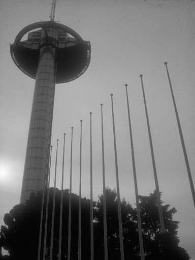 ImageImage0771.web.jpg