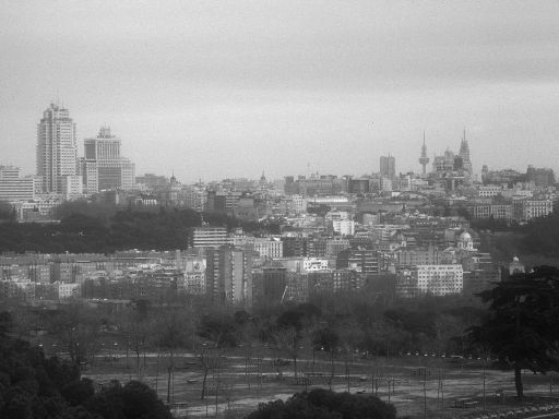 ImageImage0775.web.jpg