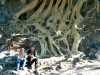 [thumbnail of Picture 9]