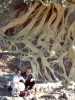 [thumbnail of Picture 10]
