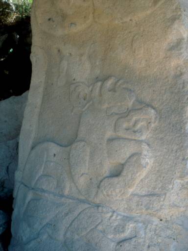 Image20.web.jpg