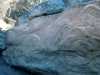 [thumbnail of Picture 14]