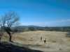 [thumbnail of Picture 15]