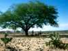 [thumbnail of Picture 16]