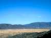 [thumbnail of Picture 22]